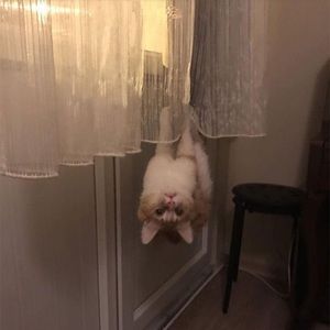 Meet your Posher, Eroca